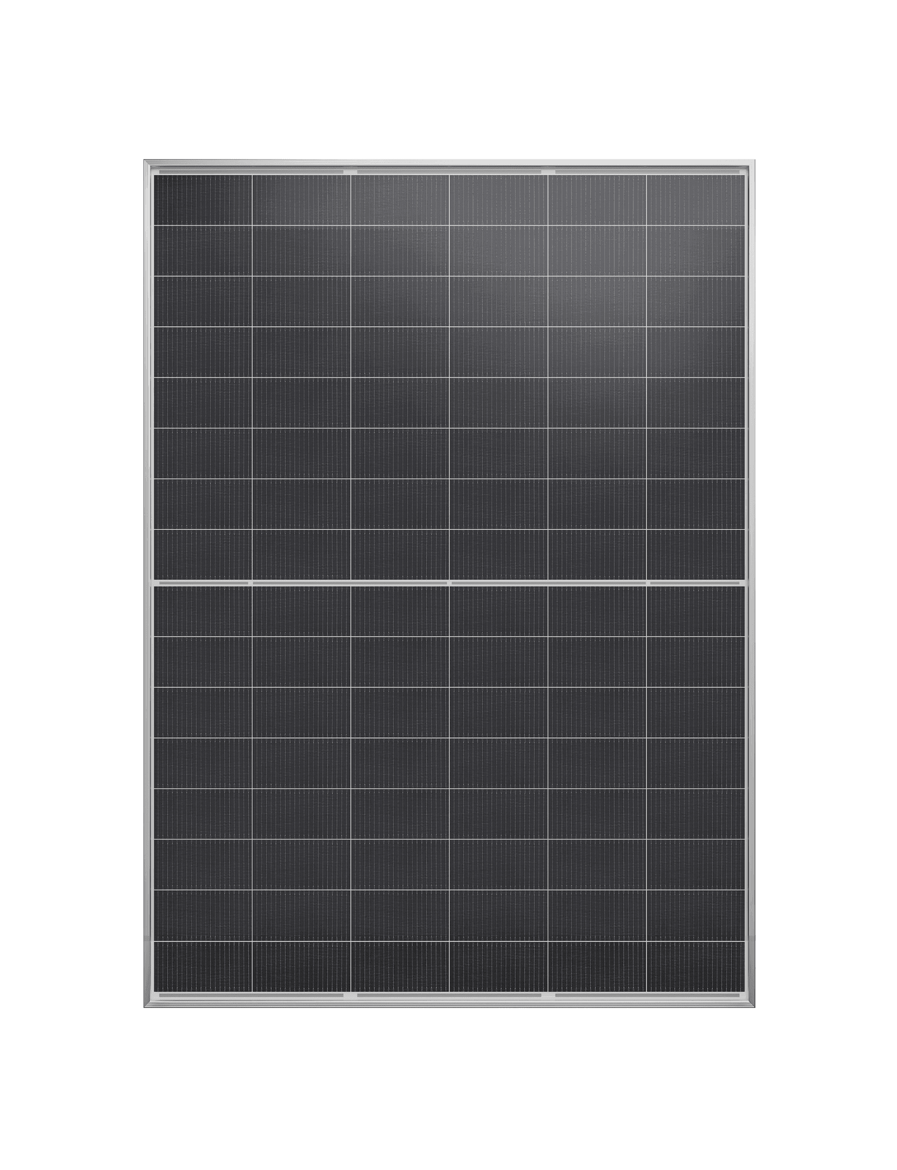 Tiger Neo 3.0 Mono 48QL6 Dual Glass