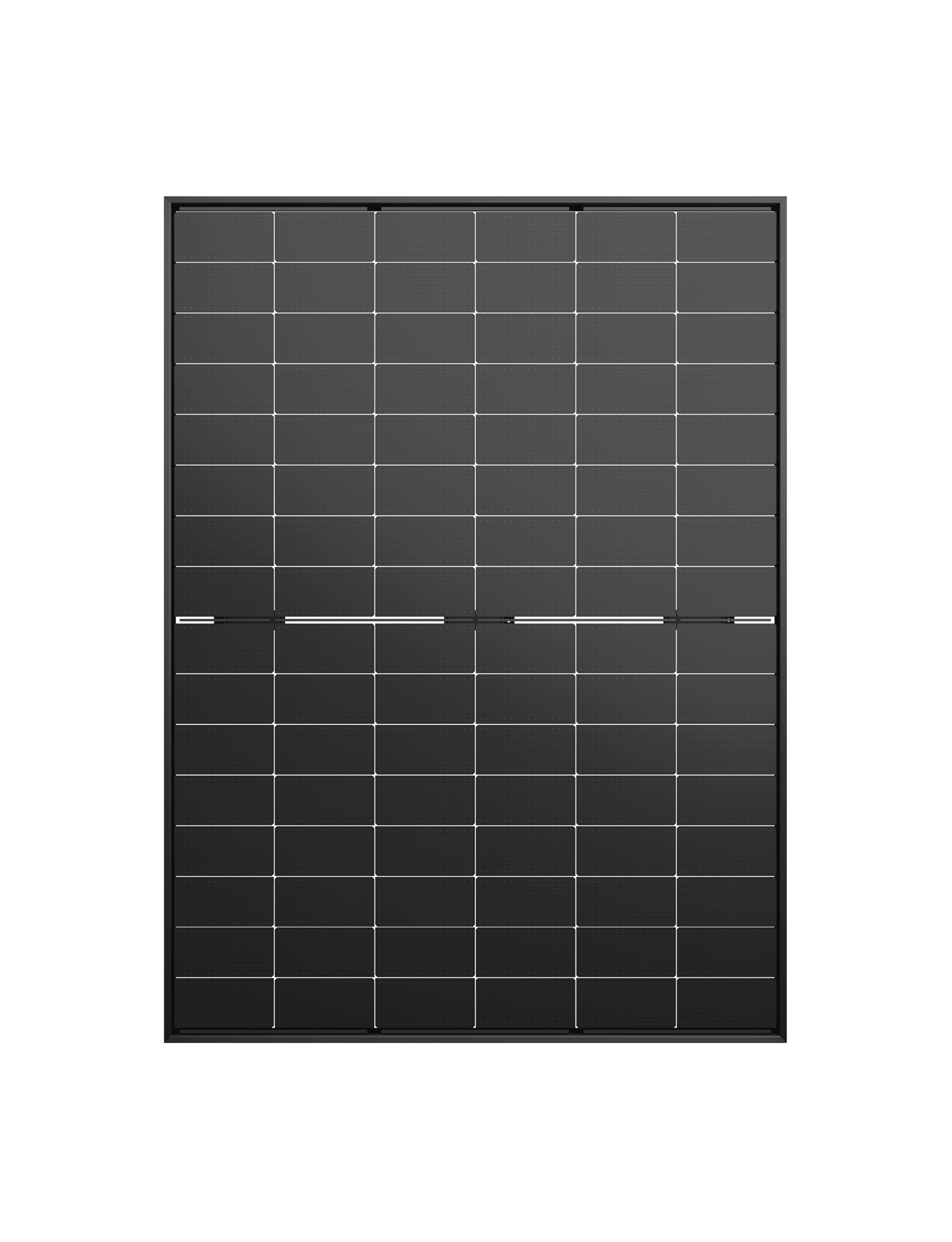 Tiger Neo 3.0 Mono 48QL6 All Black Dual Glass